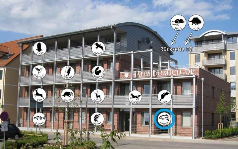 Hafendomicil Appartement Wh01 - Forelle Waren  Kültér fotó